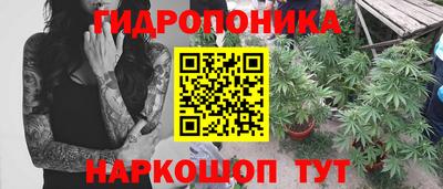 ГАЛЛЮЦИНОГЕННЫЕ ГРИБЫ Будённовск