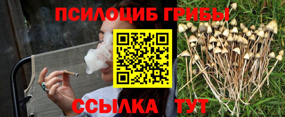 Псилоцибиновые грибы прущие грибы  как найти закладки  Заречный  Вход с VPN 