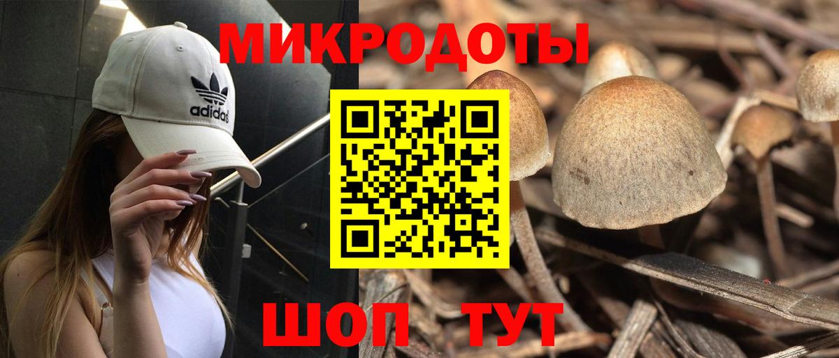 Псилоцибиновые грибы ЛСД Заречный